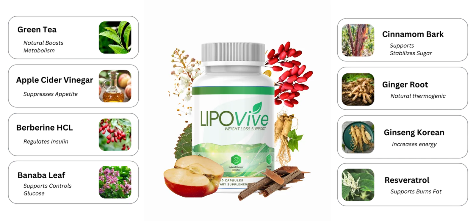LipoVive ingredients collage